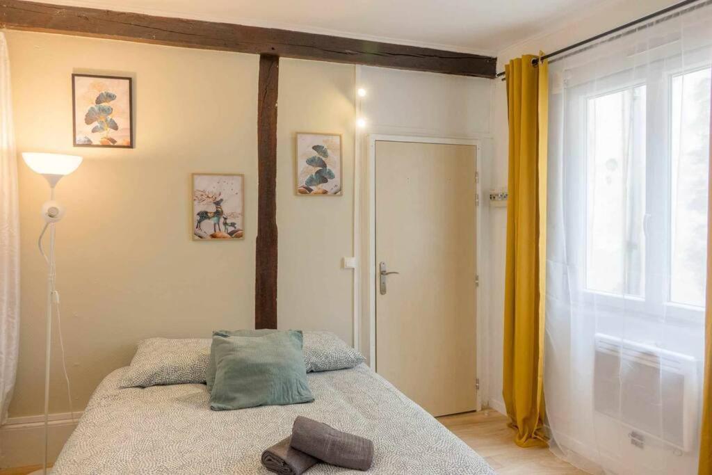 Studio Rue Pietonne 올리언스 외부 사진